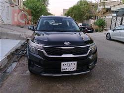 کیا سێلتۆس